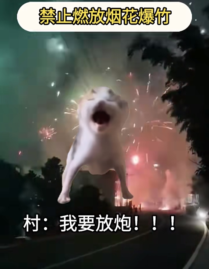 深藏在球场内的激情如同烟花绽放全球，掌声雷动的简单介绍